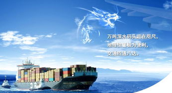 Ningbo to push the port logistics information and international shipping companies to achieve information docking